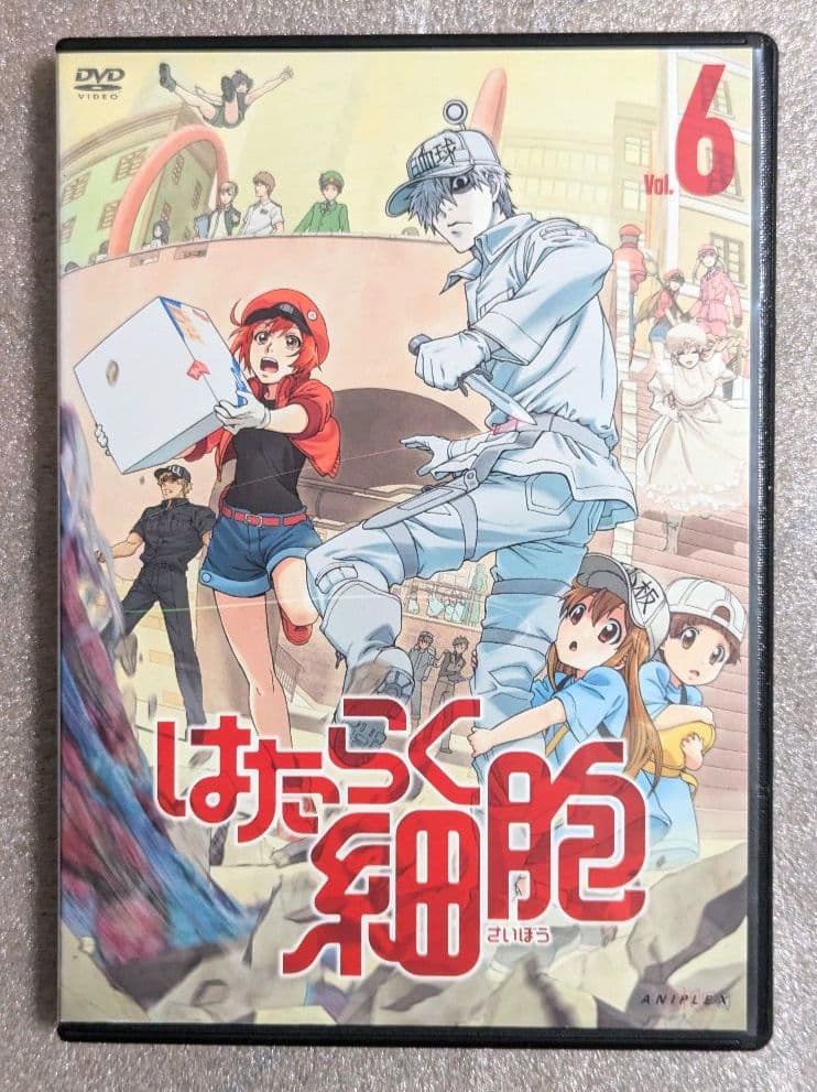 はたらく細胞　DVD　レンタル　アニメ　8本セット