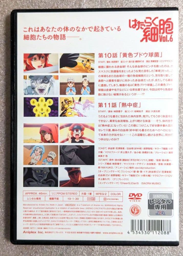 はたらく細胞　DVD　レンタル　アニメ　8本セット