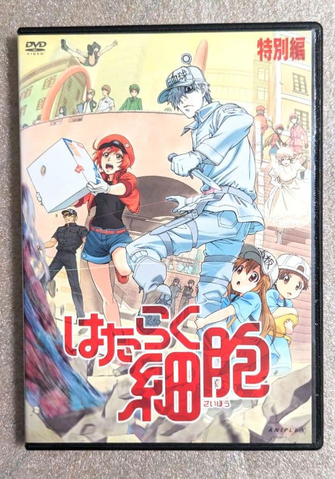 はたらく細胞　DVD　レンタル　アニメ　8本セット