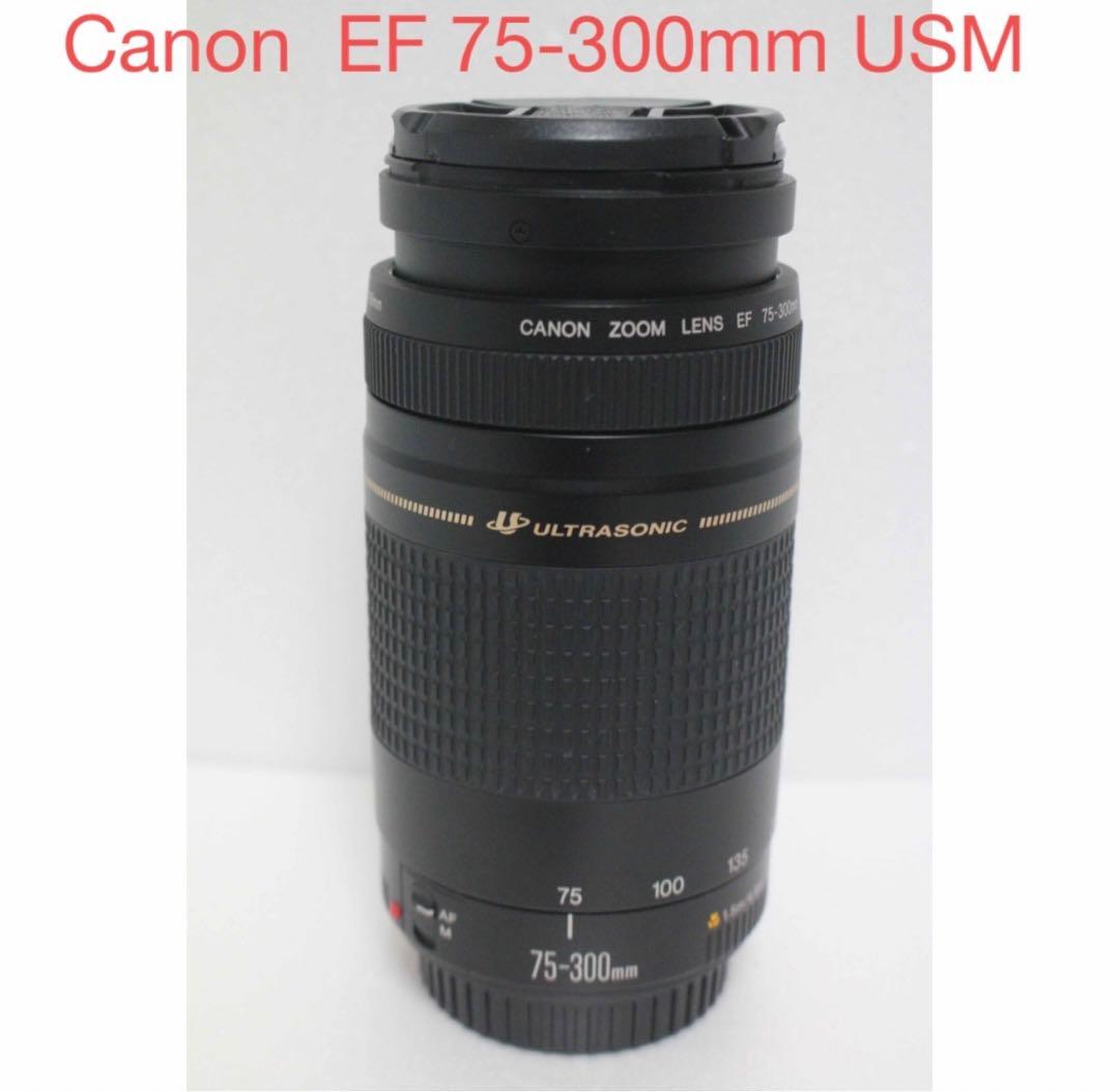 望遠レンズ☆キャノン☆Canon EF 75-300mm USM