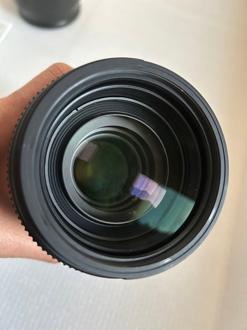 SIGMA 100-400mm F5-6.3 DG OS HSM Nikon用