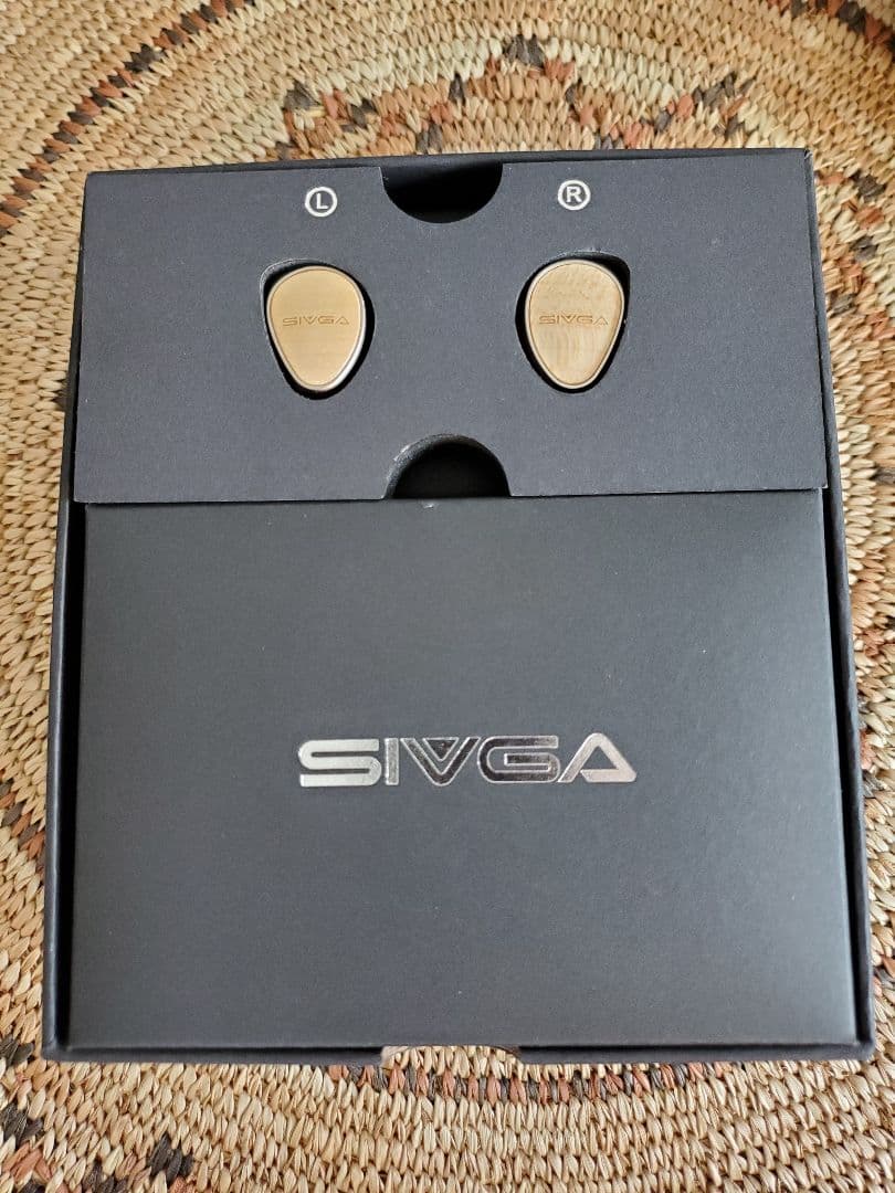(ミサキさん専用)SIVGA QueとNICI 20のセット