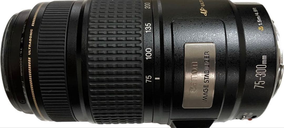 キャノン　手ぶれ補正レンズ/Canon EF 75-300㎜ IS