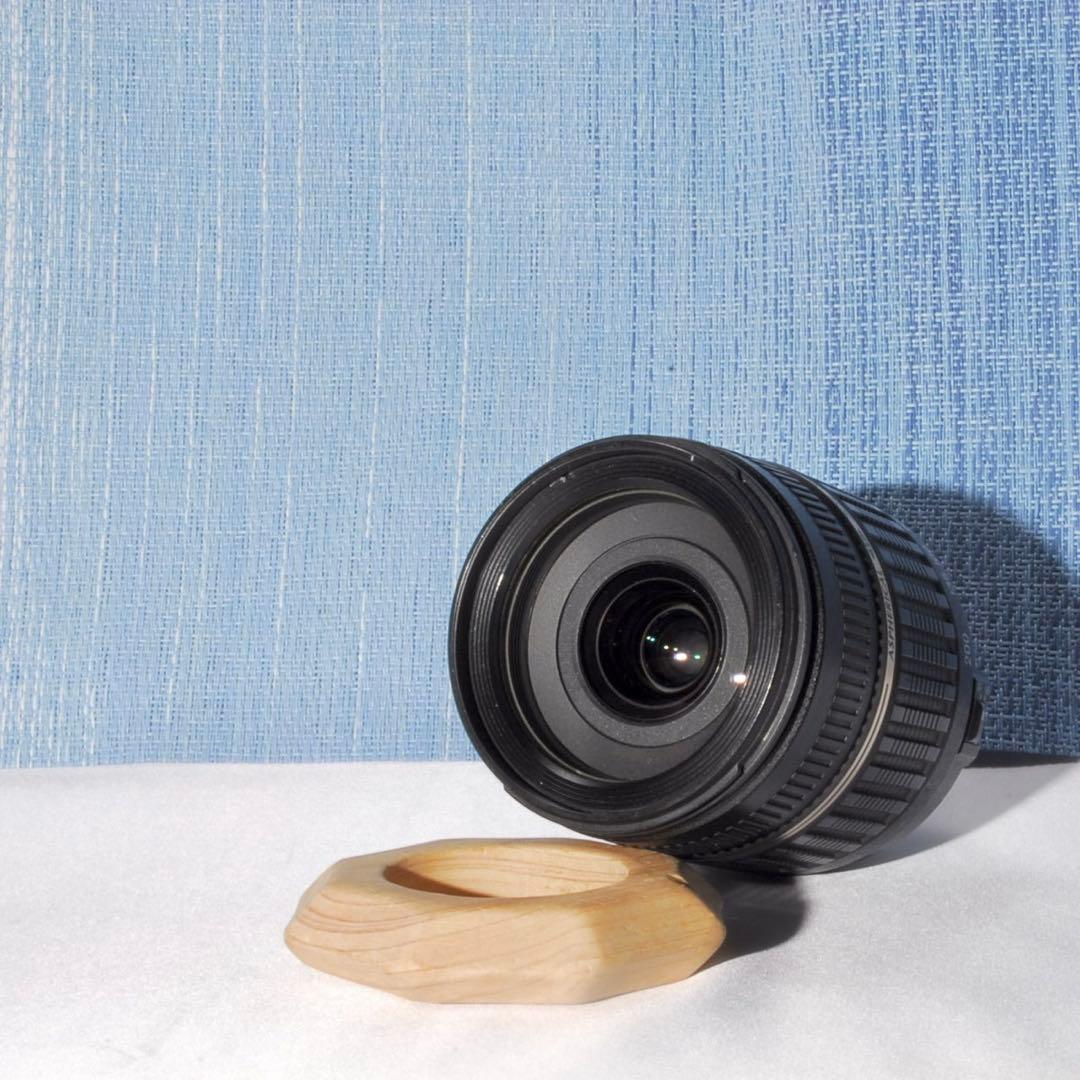 ❤️１本で近くから遠くまで！❤️ニコン用 TAMRON 18-200mm