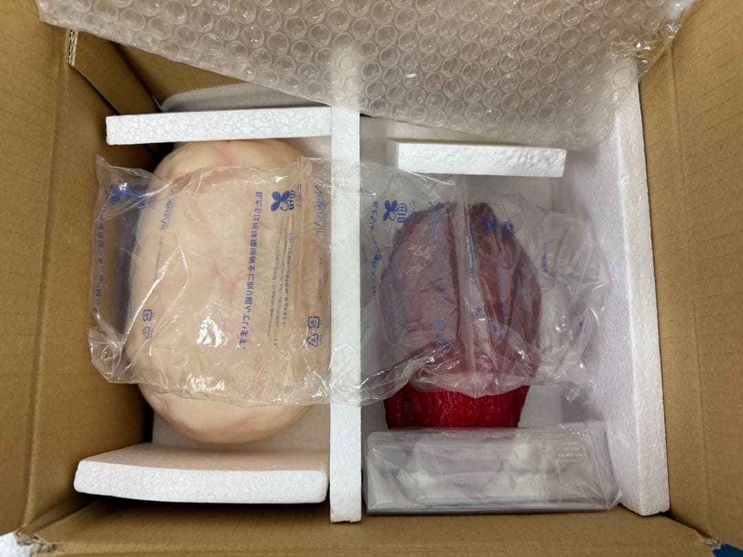 【未使用】川崎フードモデル 脂肪・筋肉模型 1kgセット