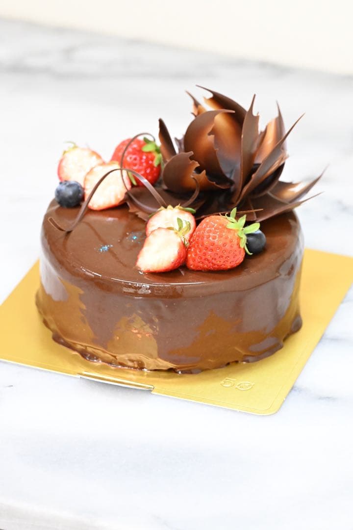 ⭐︎早い者勝ち⭐︎【最終値下】NIKON Z50 ダブルレンズキット　おまけ付き