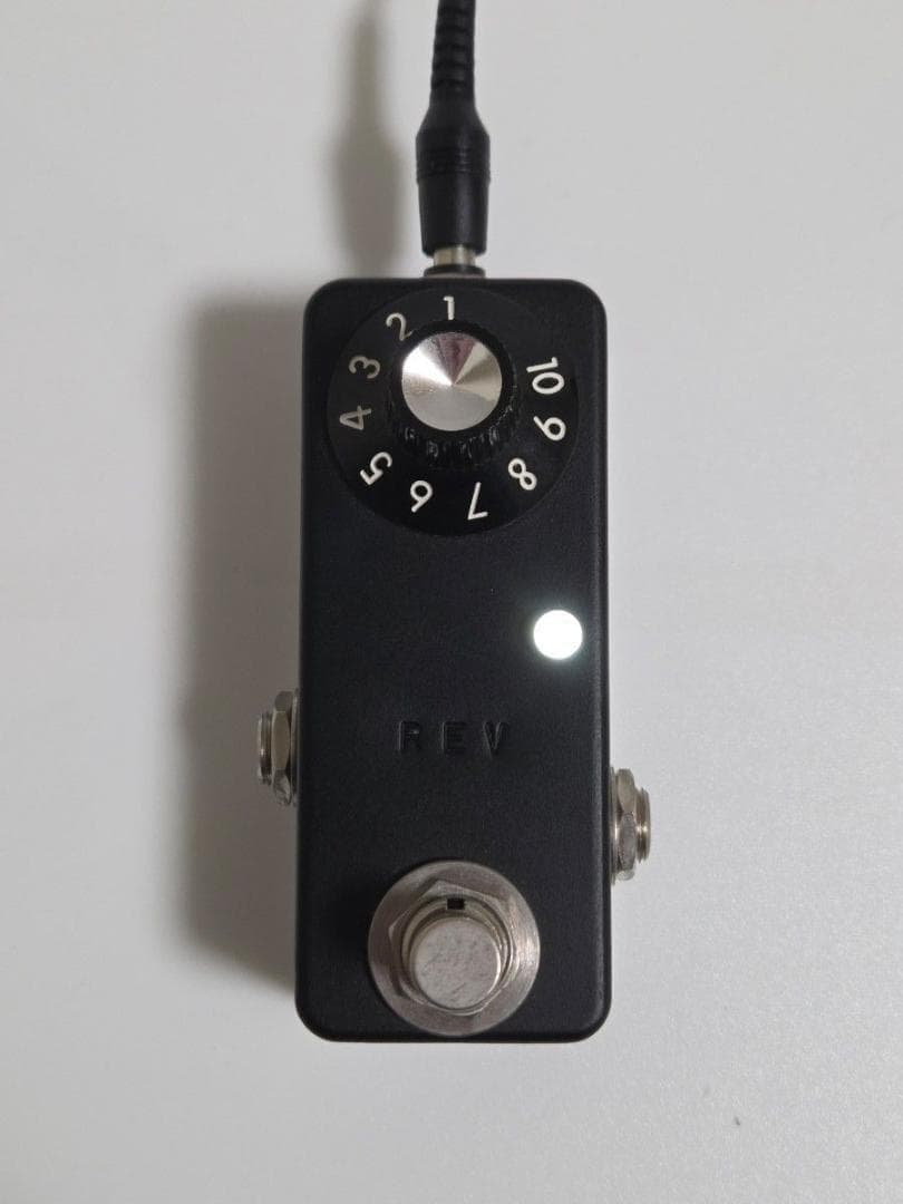 ギター Zahnrad Rev