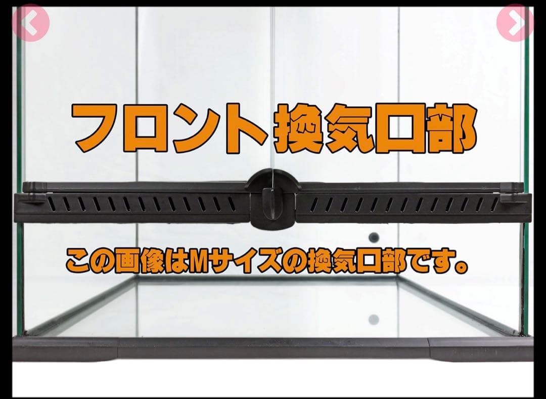 タロー出品　新品未使用！未開封！レインフォレストタンク L Low30