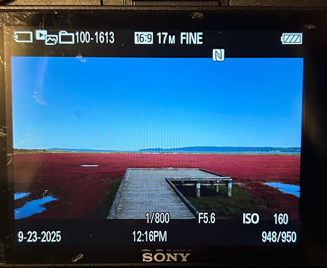 【動作確認済み】SONY DSC-RX100M2