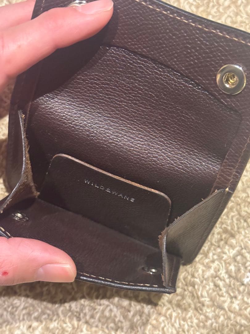 限定　ワイルドスワンズ　タング　シール　WILDSWANS ケース　財布
