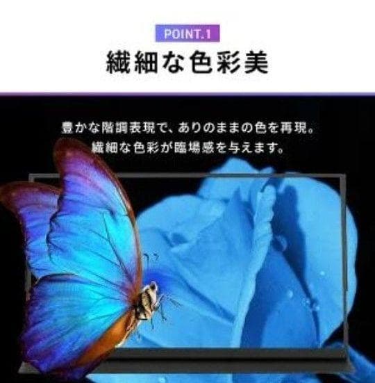 ポータブルモニター DP-EF184S-B　アイリスオーヤマ