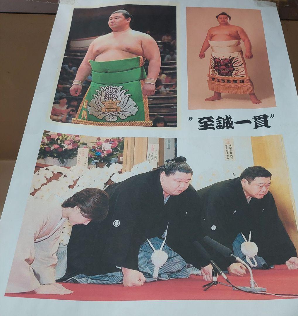 米焼酎 相撲 大関 正代 至誠一貫 しせいいっかん 酒 焼酎 限定品