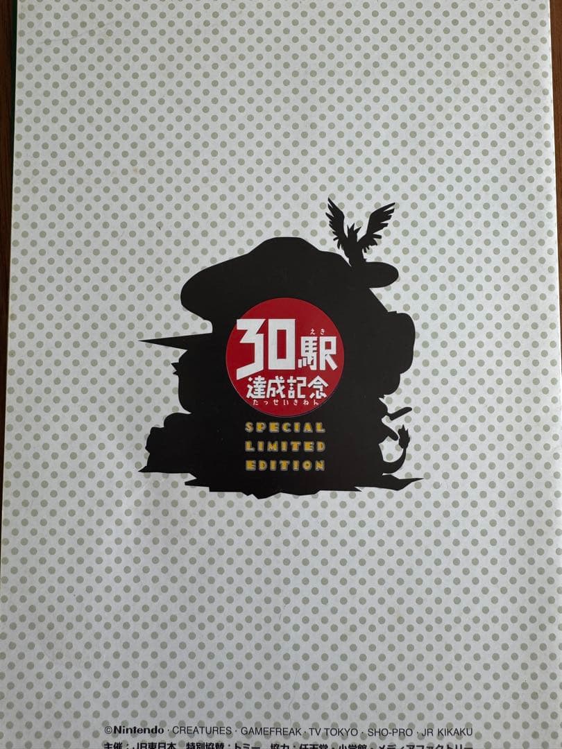なみのりピカチュウ_「JRスタンプラリー」 スペシャルカード 光沢なし PRO…