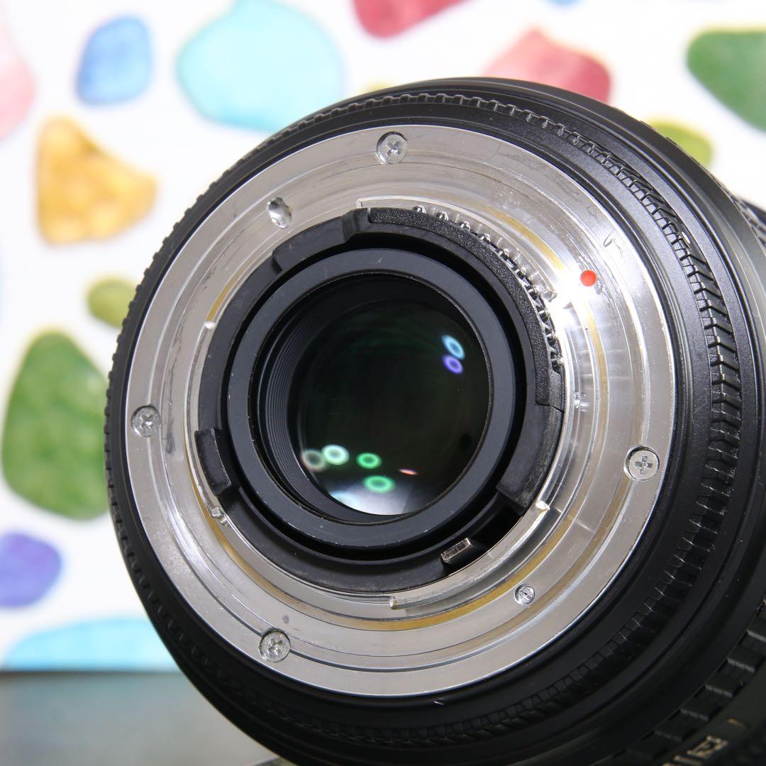 ♥︎◇神レンズ♪ ◇SIGMA 24-70mm F2.8 Nikon