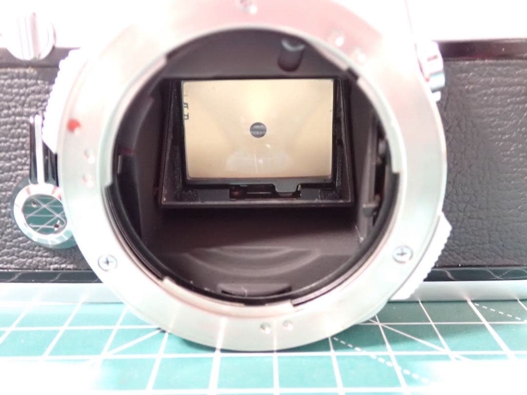 Olympus OM-1 と 50mm F1.4 動作確認済み 作例あり