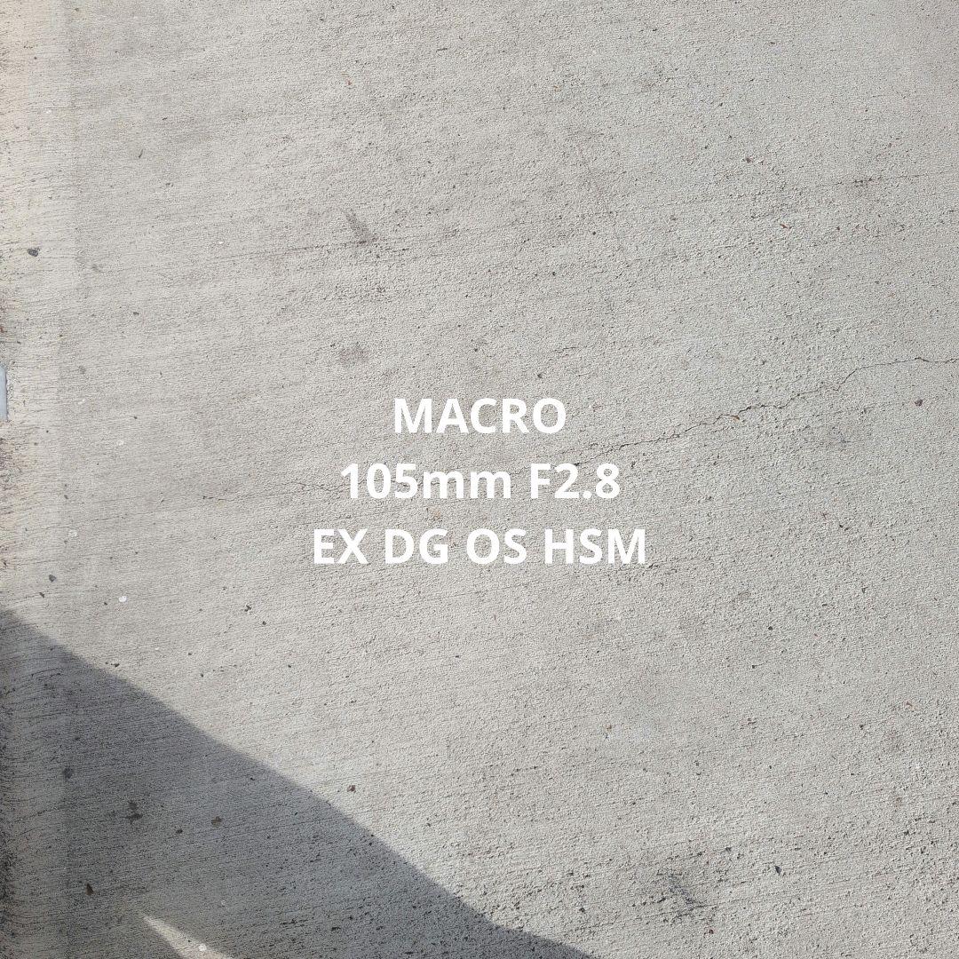 レンズ(単焦点) MACRO 105mm F2.8 EX DG OS HSM