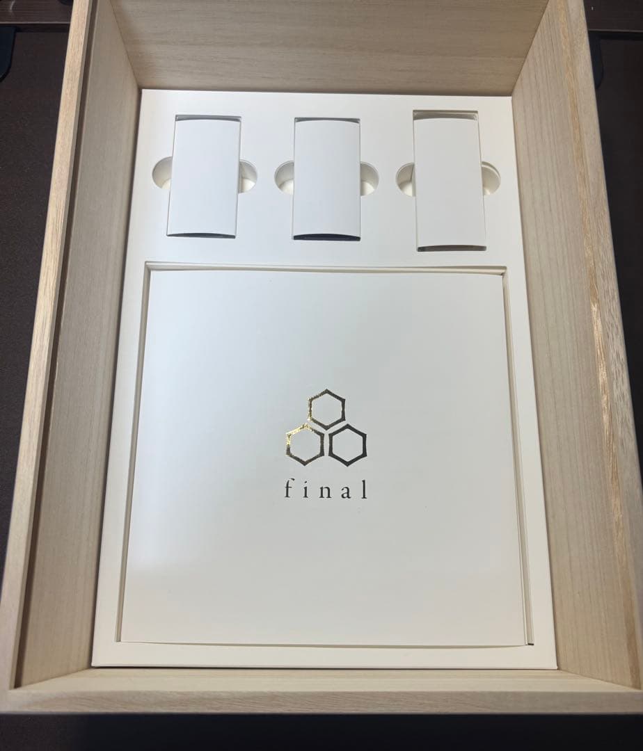 イヤホン final A10000