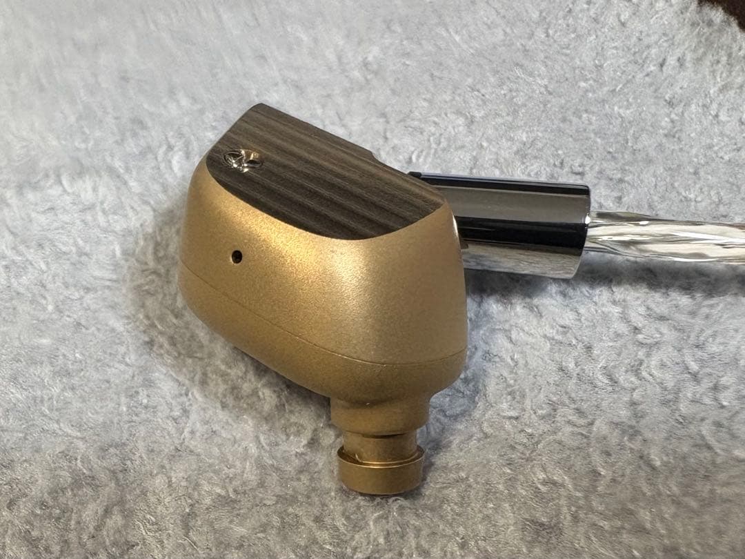 イヤホン final A10000