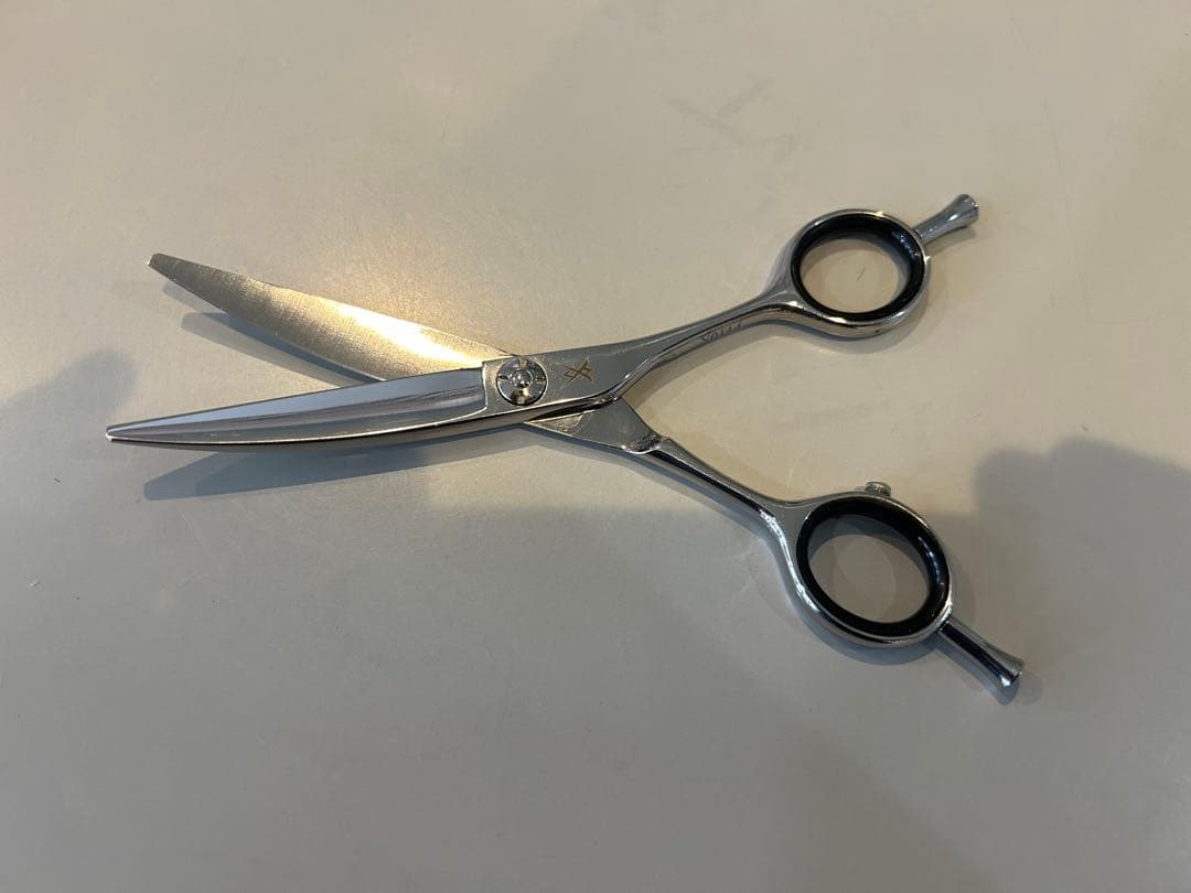 サイキシザー　マックスカーブ5.5 笹刃