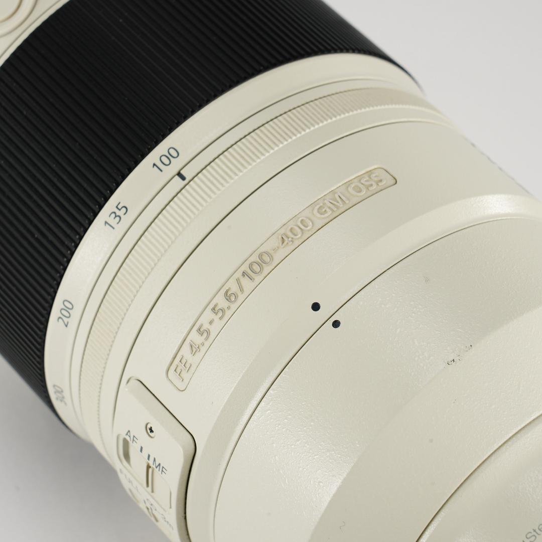 プロ愛用｜SONY SEL100400GM 家族の最高の瞬間を逃さない 398