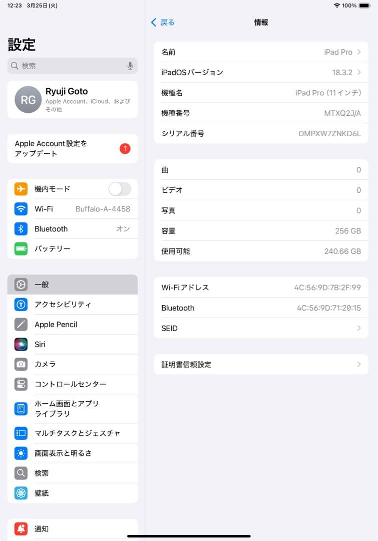 Apple iPad Pro (11インチ) 256GB