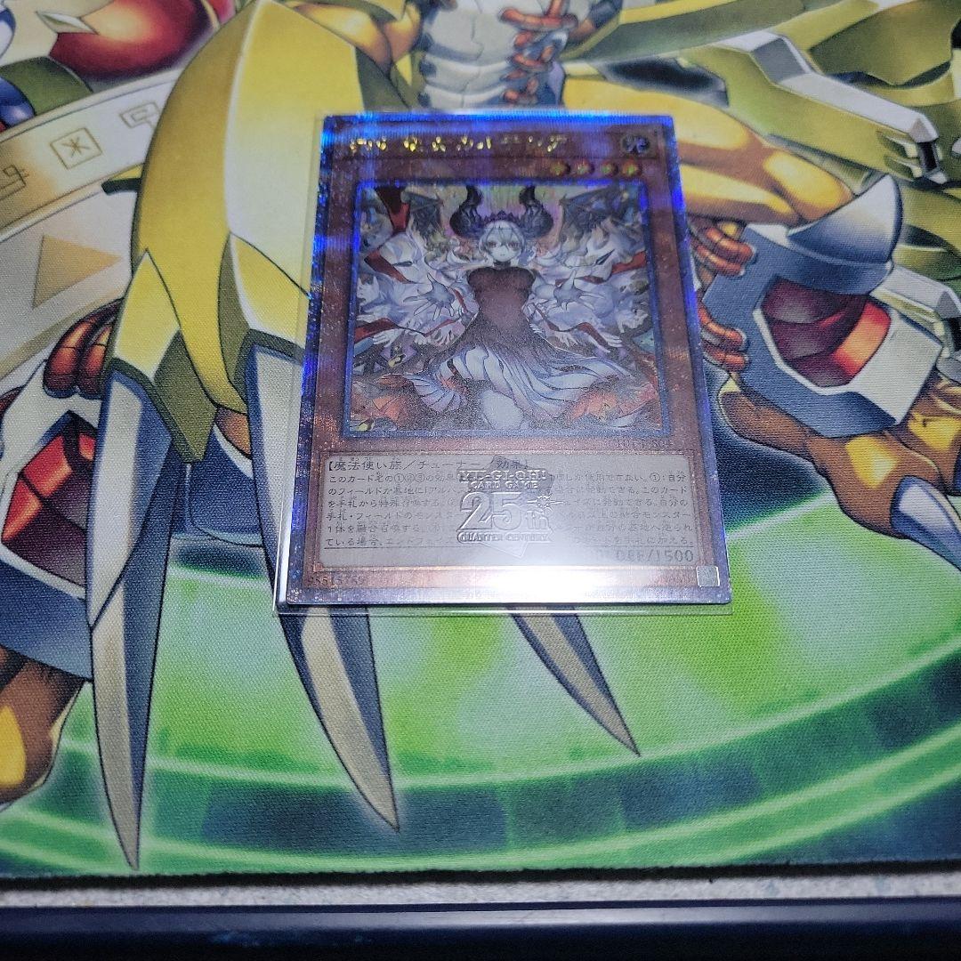 モ*ル様 赫の聖女カルテシア　25thシクレア