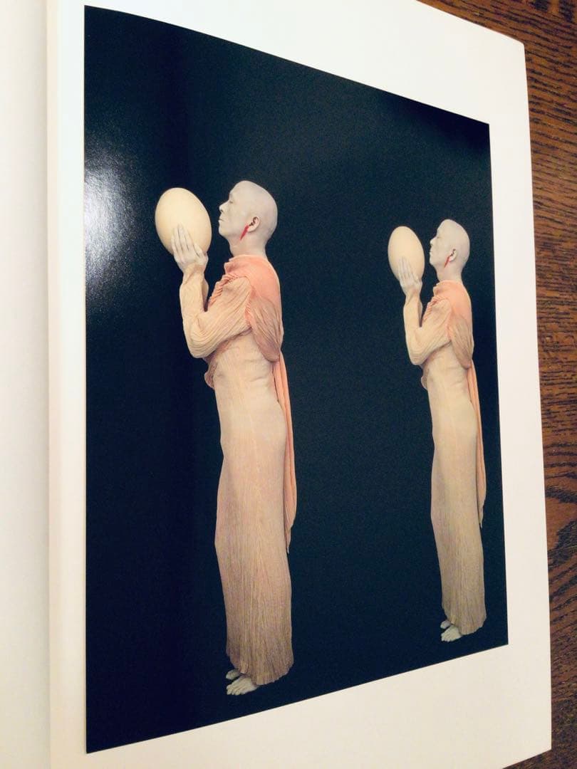 ⭕️絶版写真集⭕️写真家 上田義彦⭕️INTO THE SILENT LAND⭕️限定