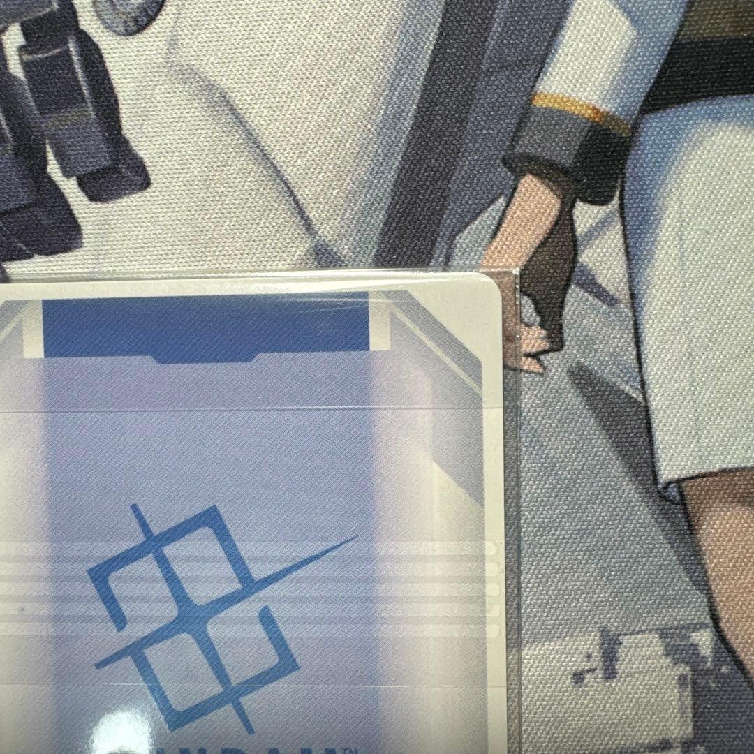 【商品説明必読、値下げ可】ニュータイプチャレンジ優勝賞品　フリーダムガンダム