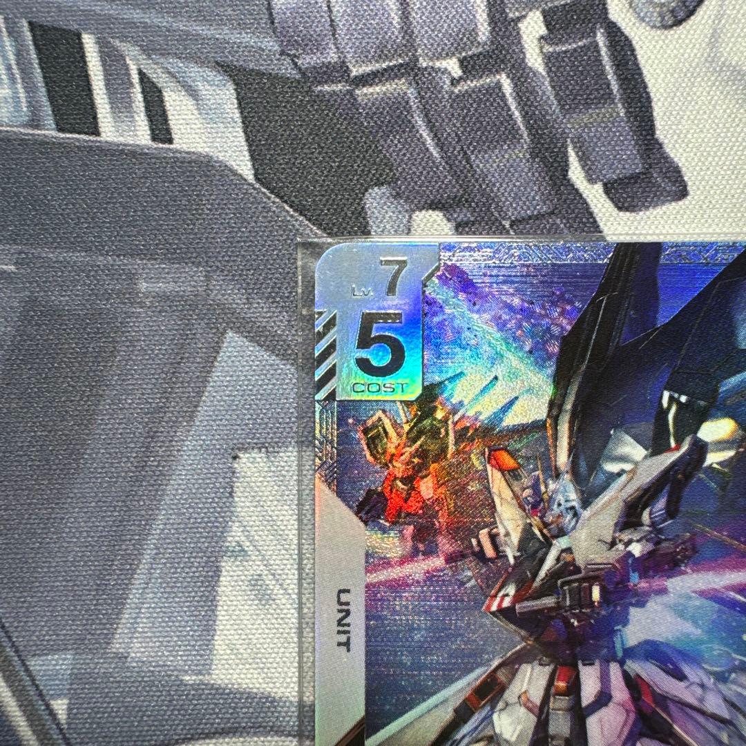 【商品説明必読、値下げ可】ニュータイプチャレンジ優勝賞品　フリーダムガンダム