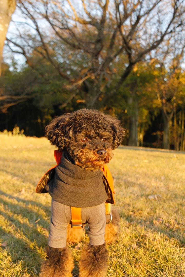 Olympus OM-D ミラーレスカメラ 【2レンズ付き】【箱付き】