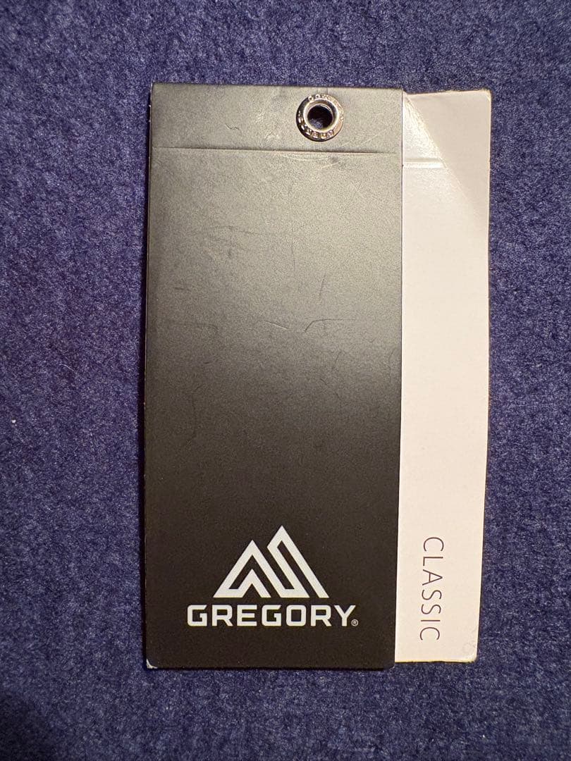 【別注】GREGORY／NICEDAY VINTAGE GREEN BEAMS