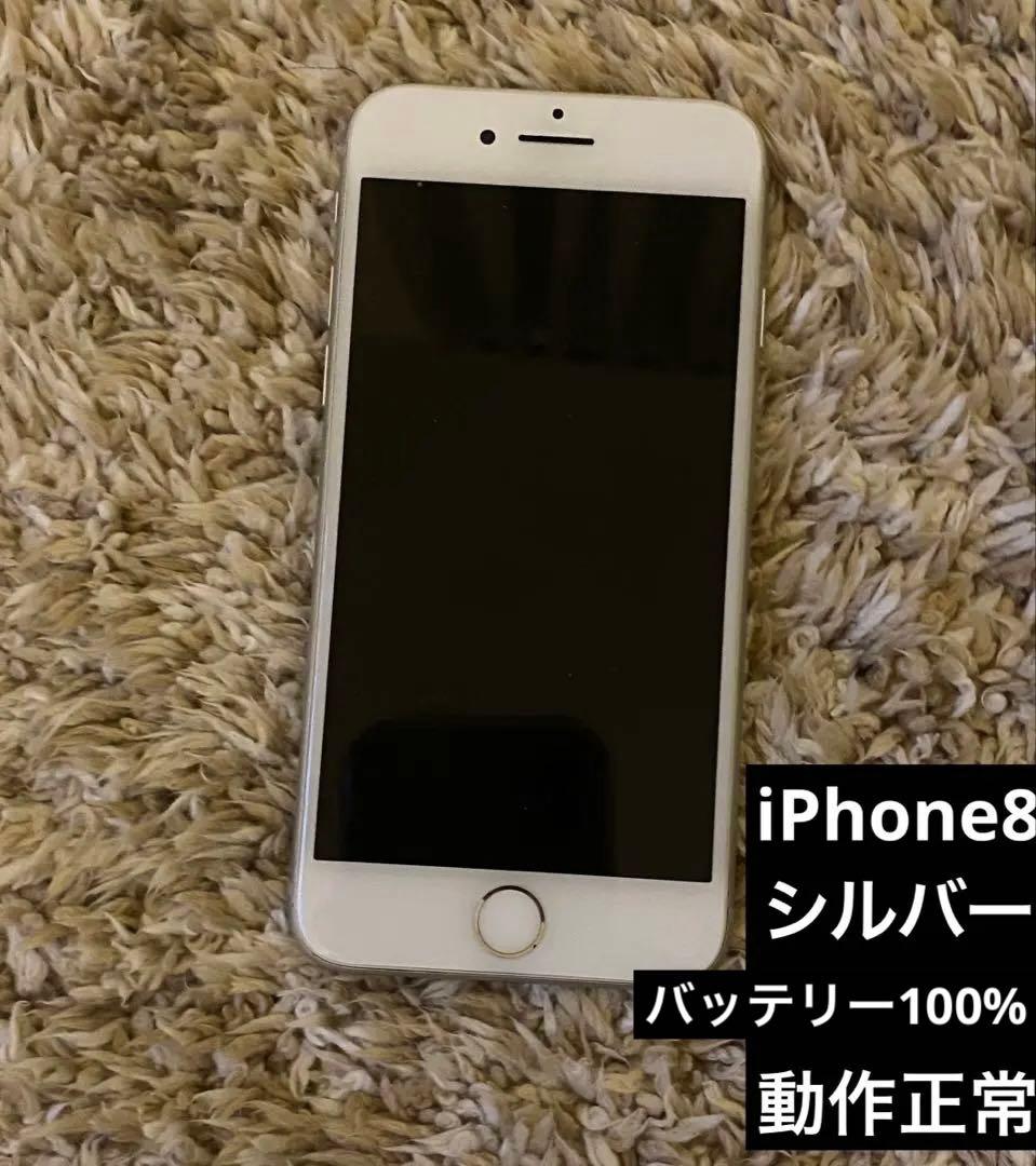 Apple iPhone 8 64G シルバー 本体100%