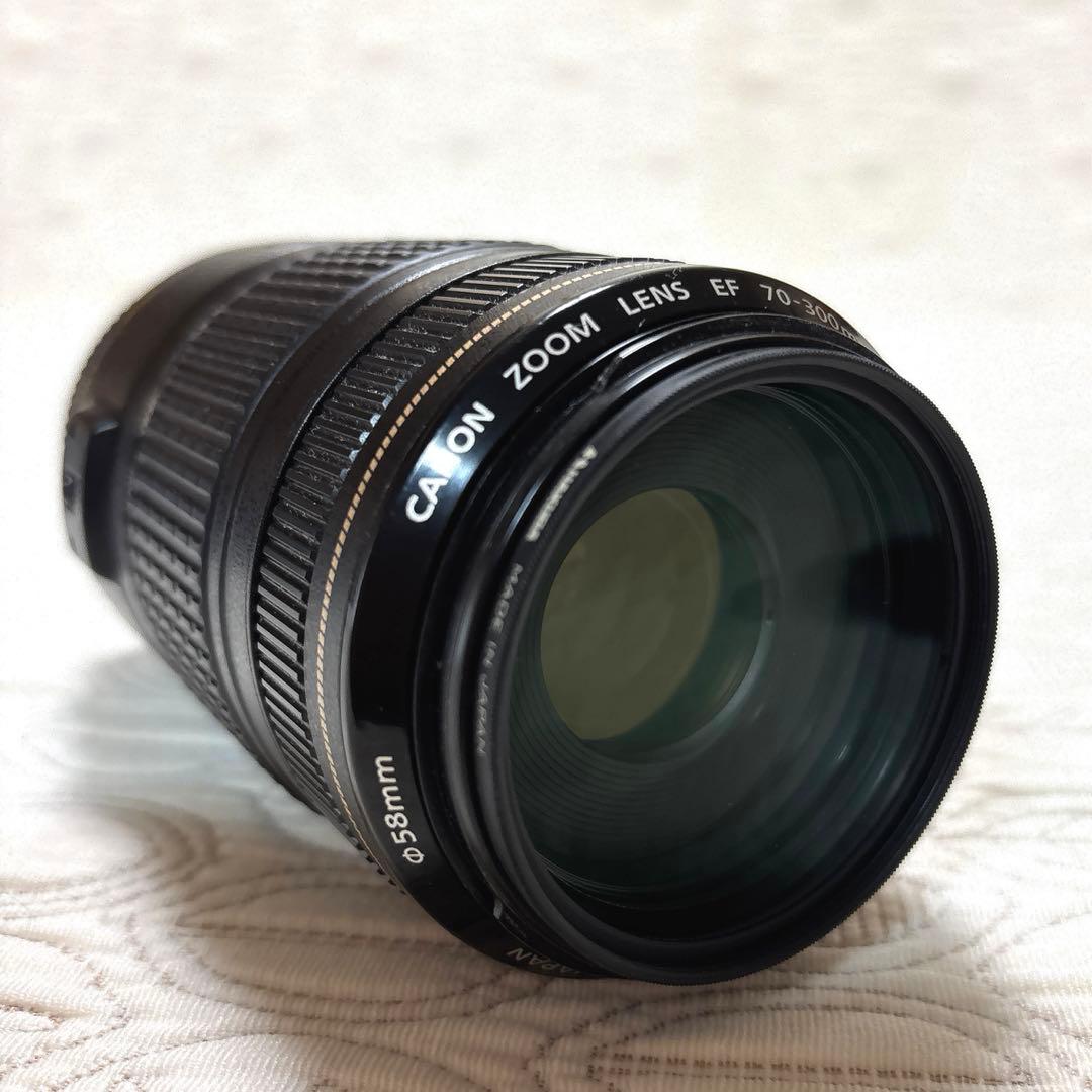Canon70-300 ズームレンズ イメージスタビライザー ET-65B付き
