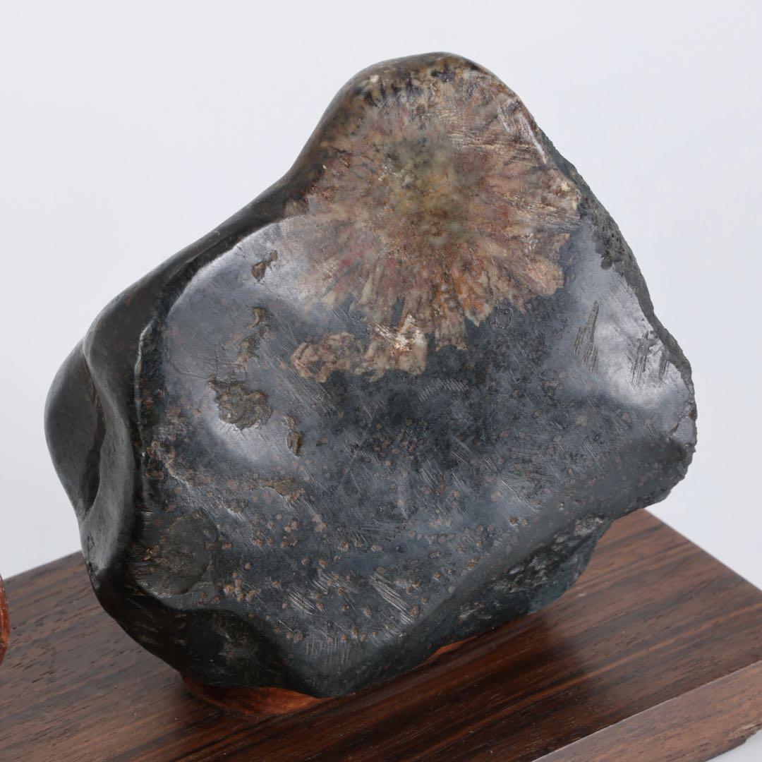 根尾川産 菊花石 二石組 台座 共箱付 鑑賞石 原石 天然石 盆石 飾石 美術品