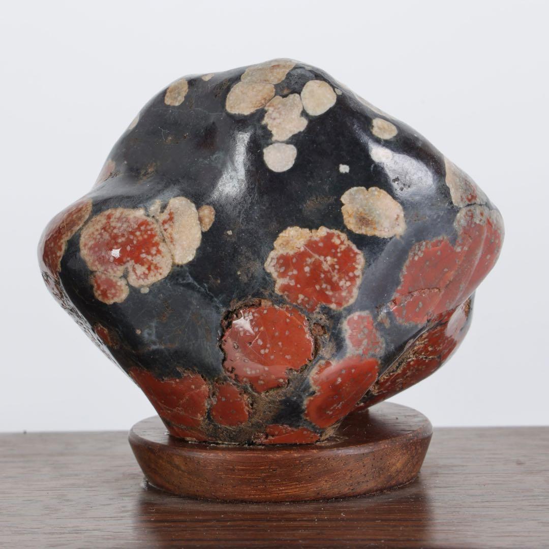 根尾川産 菊花石 二石組 台座 共箱付 鑑賞石 原石 天然石 盆石 飾石 美術品