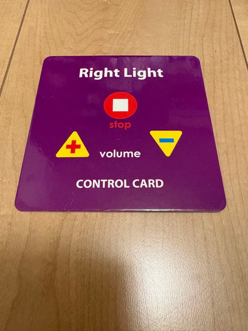 【2019年10月正規購入】　DWE ライトライトペン