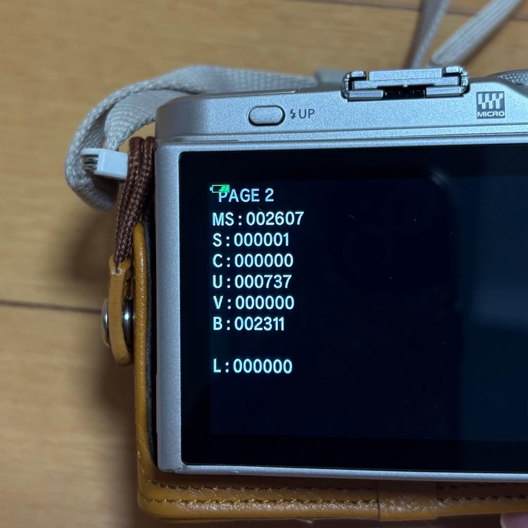 オリンパス OLYMPUS PEN E-PL9 本体レンズセット 美品