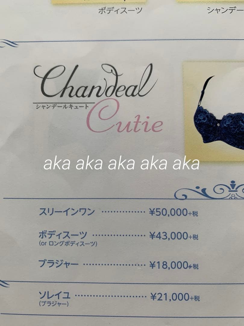 シャンデールサファイアブルーC85ブラジャー新品未使用