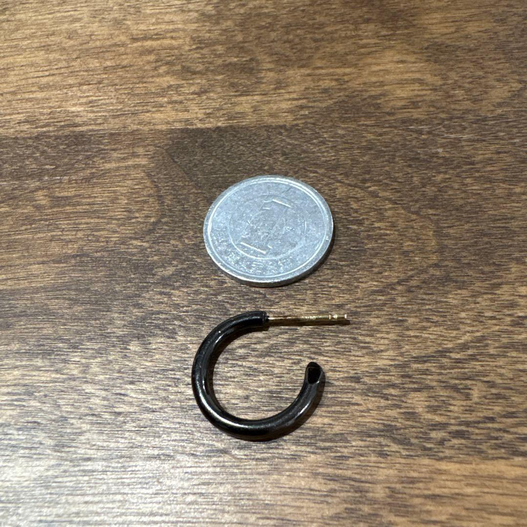 CAREERING PLACEBO ピアス ブラック