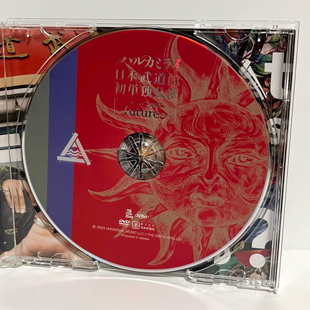 ハルカミライ 日本武道館初単独公演 DVD 希少 廃盤