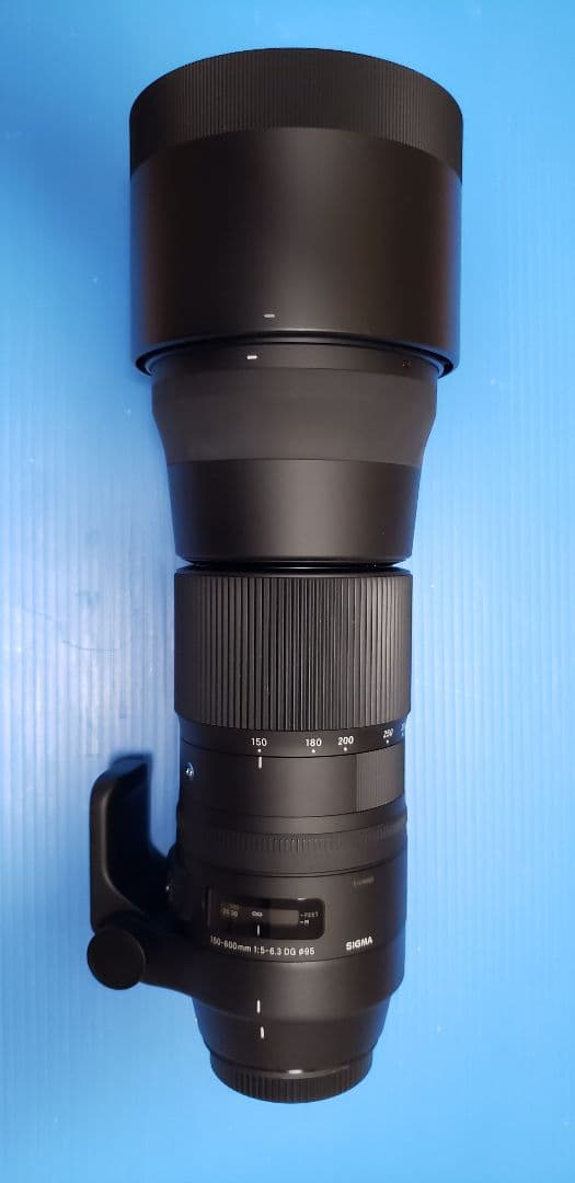 SIGMA 150-600mm F5-6.3 DG ズームレンズ