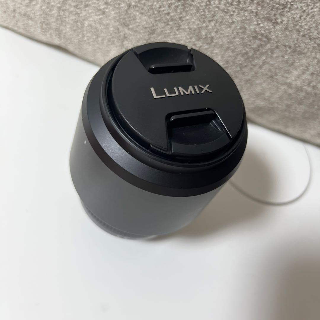 Panasonic H-FS045200 45-200mm 望遠ズームレンズ