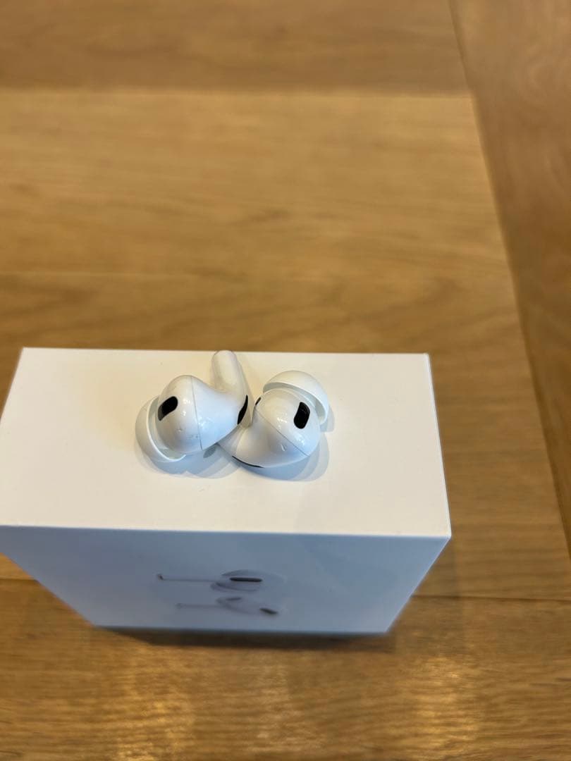 AirPods Pro（第1世代）Lightningモデル Apple正規品