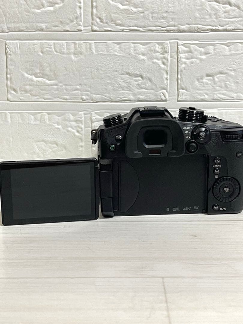 Panasonic LUMIX DC-GH5 レンズセット