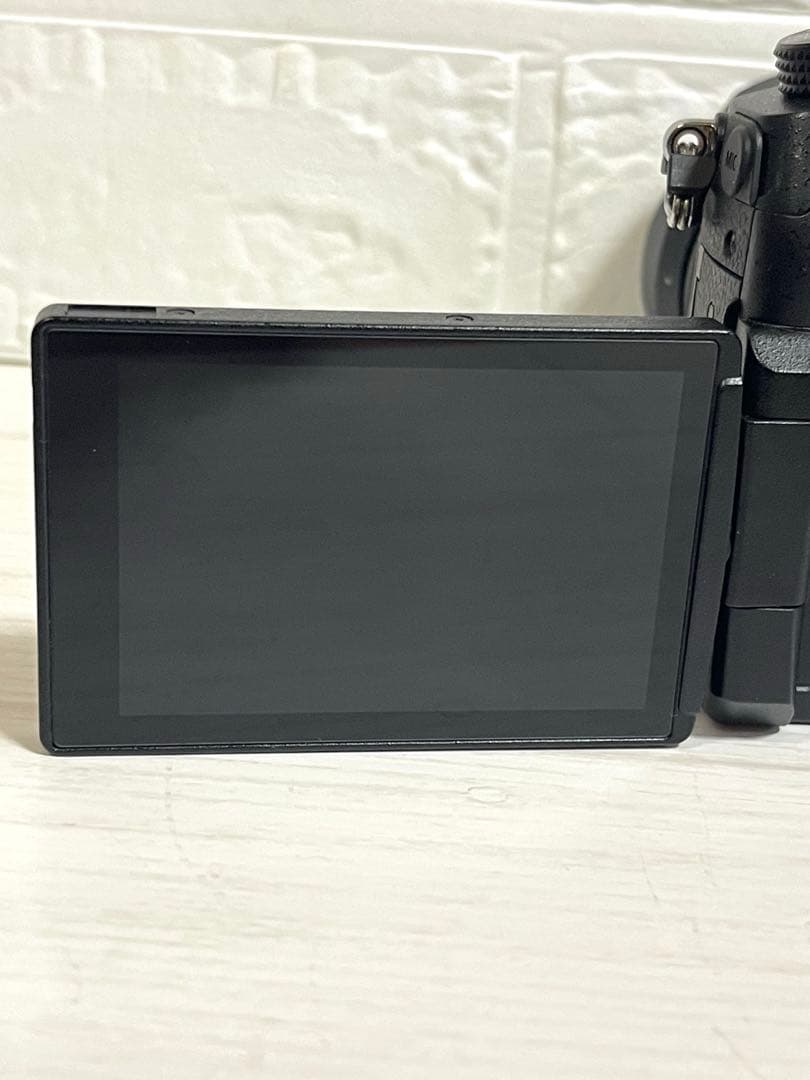 Panasonic LUMIX DC-GH5 レンズセット