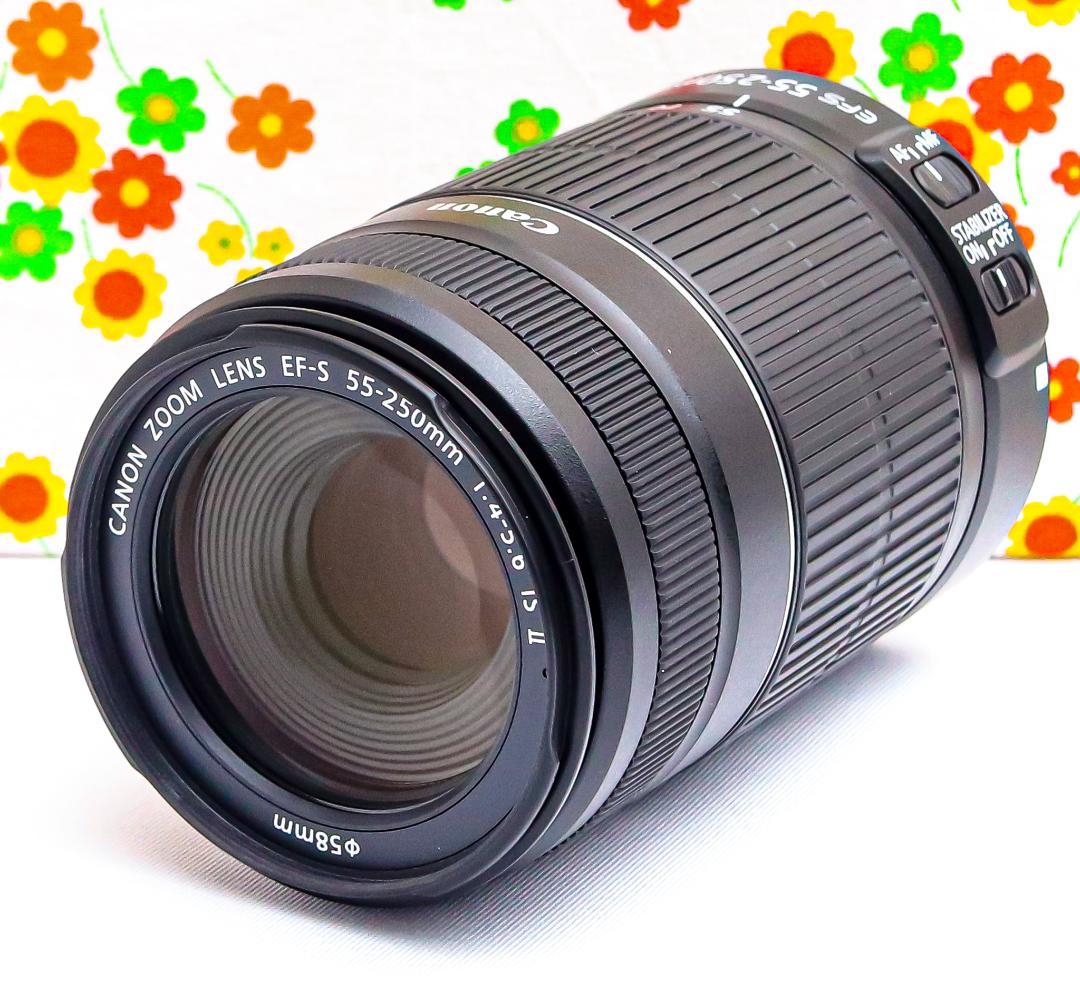 美品 Canon EF-S 55-250mm IS Ⅱ☆手振れ補正☆望遠レンズ