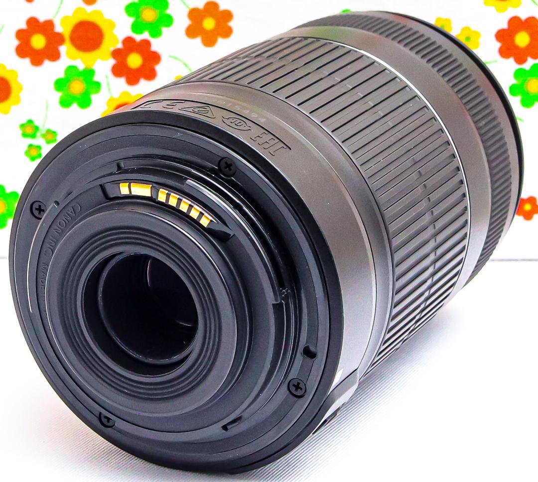 美品 Canon EF-S 55-250mm IS Ⅱ☆手振れ補正☆望遠レンズ