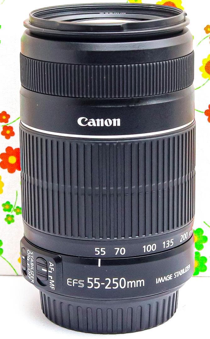 美品 Canon EF-S 55-250mm IS Ⅱ☆手振れ補正☆望遠レンズ