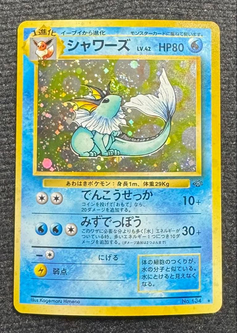 旧裏 シャワーズ サンダース ブースター