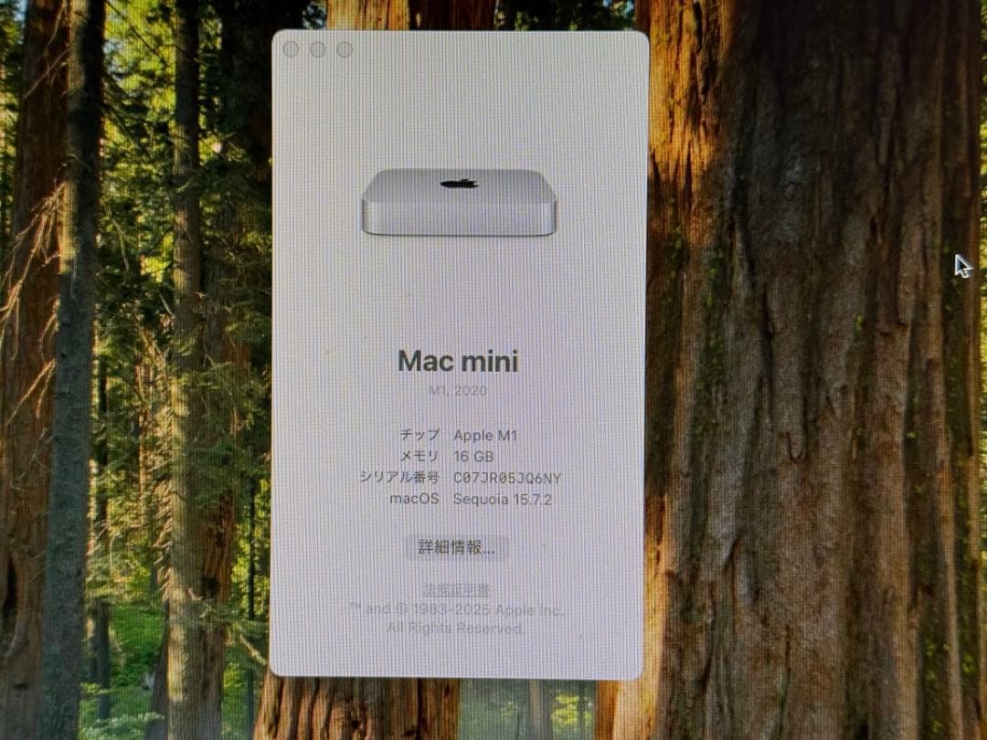 Macデスクトップ Mac mini M1 16GB 256GB